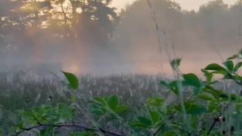 Faith in Frustration