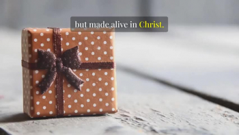 Chosen by Grace - Devotional based on Ephesians 1-3.