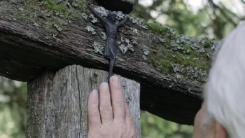 The Eternal High Priest - Devotional based on Hebrews 5-7.