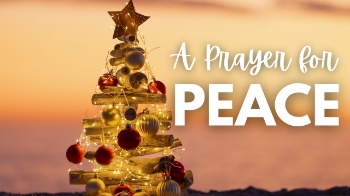The holiday season often carries a tension between joy and heaviness. While we celebrate the birth of Christ with wonder, expectations, busyness, grief, and change can steal our peace. In John 14:27, Jesus reminds His disciples that true peace doesn’t come from a perfectly executed holiday or a trouble-free life—it comes from Him alone. When our hearts feel overwhelmed by demands or sadness, we are invited to return to the Prince of Peace and receive the rich, lasting calm only He can give. This season, peace becomes possible not by doing more, but by turning our focus back to Jesus, who is always with us.