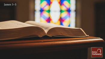 When Words, Plans, and Patience Meet God’s Will - Devotional based on James 3-5.