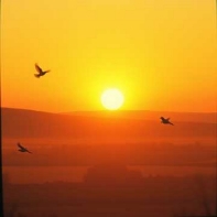 Our song "Revival" shares the news of revival sweeping the nation especially among young people. Hopefully they fully understand the commitment expected by God and it is not just a feel-good movement. The video shares the lyrics and song cover.