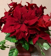 I’m so glad you joined us today for A Vision with Pastor Tim.
The Bible says without A Vision the people perish.
If you enjoy this make sure to like, subscribe, and share.
