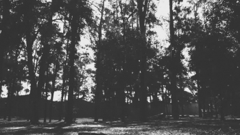 As we head into the new year and start thinking about resolutions, I realized that the resolution I needed the most was to make sure to let scriptures guide me more going into next year. Matthew 6:33 was one of the passages that inspired this song. What are your plans for the new year?