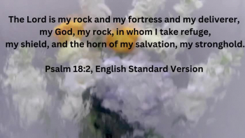 Some inspirational Bible verses to encourage you when you need strength.