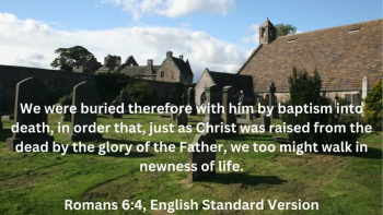 Find out who you are in Jesus Christ with these Scriptures.