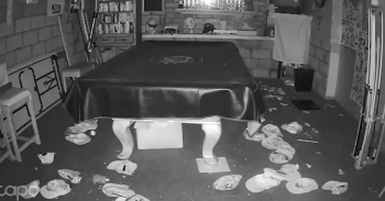 <p><span style="color: rgb(33, 37, 41);">In spring of 2025, we found a bunch of old baseball caps placed in a circle around the half-finished basement of our cabin. We put the hats back in box they'd been stored in, and set up a trail cam and a security cam to find out who was running around our basement. Over the next few nights, we saw this rat come back and re-create the circle of hats! Months later, she's still returning regularly to "decorate" the room, and we love seeing her work...and wondering what she's up to. (We don't know if she's really a girl, but we've started calling her "Callie").</span></p>