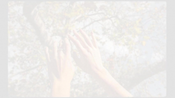 Doubting God will provide? Here are encouraging scriptures.