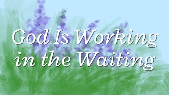 Waiting is one of the hardest parts of life—whether you’re stuck in traffic, waiting on medical results, longing for reconciliation, or hoping God will open a door that still feels shut. It’s tempting to assume that “nothing is happening” simply because you can’t see movement.

But God doesn’t waste waiting. Scripture reminds us that His timing is not neglect—it’s mercy, wisdom, and purpose. When answers delay, the Lord is still good to those who seek Him. He is shaping endurance, deepening trust, and strengthening hope in ways that often only form in the slow spaces.

Tonight, instead of measuring God’s faithfulness by speed, we can measure it by His presence. He is with you in the waiting, and He is working—even when you can’t yet see the outcome.

TONIGHT’S SCRIPTURE

“The LORD is good to those whose hope is in him, to the one who seeks him.” — Lamentations 3:25

YOUR NIGHTLY PRAYER

Dear God,
Waiting feels heavy tonight. I confess how easily I grow weary, discouraged, and tempted to believe You’ve forgotten me. Please forgive me for trying to force outcomes or letting fear and frustration lead my thoughts.

Lord, teach me to seek You here—right in the middle of the unknown. Give me patient endurance to keep trusting You when I don’t have answers. Remind me that Your delays are not denial, and Your silence is not absence.

Fill me with Your peace that surpasses understanding. Help me rest in Your plans over my own, and strengthen my hope as I wait for You to move. Thank You that You are good to those who seek You, and that my waiting is not wasted in Your hands.
In Jesus’ name,
Amen.