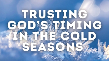Dear God,
Tonight, we bring You our weariness in waiting. This season feels cold and quiet, and we don’t always understand Your timing. Forgive us for the moments we’ve doubted You or tried to rush what You are still preparing.

Help us surrender our expectations and release the pressure to figure everything out. Teach us to wait with faith, rather than frustration. When it feels like nothing is happening, remind us that You are still working—strengthening our roots, shaping our hearts, and preparing what comes next.

Thank You for Your Word that reminds us there is a season for everything. We trust that this cold season has purpose, and that You are faithful to carry us through it.
In Your name we pray,
Amen.