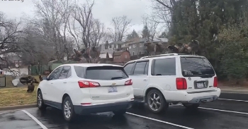 <p>I had just finished my laundry at Fiesta, off Merrimon Ave, and was driving slowly out the back parking lot. I noticed this stoic gobble of turkeys just hanging out like it was their lot, their cars...no big deal.</p>