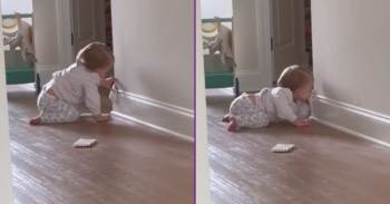 <p>This little one proved that no amount of baby proofing is a match for determination. The child was obviously bound and determined to put its parents' baby-proofing skills to the test. Watch the short but hysterical clip to see how and why these parents have to upgrade their baby-proofing game significantly.</p>

<p>Babies, especially when they begin crawling and walking, tend to get into anything and everything. As all parents know, every item the child comes across instantly becomes a toy. Also, those very same items will eventually find their way into the youngster&rsquo;s mouth sooner or later, often it&rsquo;s much sooner. Perhaps whatever they find on the floor looks appetizing?</p>

<p>Understanding that young children can and do make a toy and a snack out of everything they come across, parents must prepare for this eventuality. Keeping the floor clean of unwanted and potentially hazardous debris, moving breakables to a safe, unreachable location and placing foam padding on corners are all a series of activities that have become known as baby proofing.&nbsp;</p>

<p>All parents do it, and it&rsquo;s the smart, responsible thing to do to keep your curious little one safe.<br />
However, one clip hilariously captured a youngster showing that not even the best, most intricate and detailed baby-proofing job was enough to stop them. This child easily went through and discarded the materials intended to help protect a corner in the house.</p>

<p>The youngster easily picked off the foam padding from the corner and immediately started to help itself to a nice, well-earned snack. Why would the child want to ingest foam padding? Well, why not? Everything else it finds makes its way into its mouth, so why should the padding be any different?</p>

<p>Luckily, Mom spots the child trying to chow down on the padding and interrupts the little one&rsquo;s snack time.</p>

<p><em><strong><a href="https://www.godtube.com/bible/proverbs/22-6">Proverbs 22:6</a></strong> &ldquo;If a child is trained up in the right way, even when he is old, he will not be turned away from it.&rdquo;</em></p>

