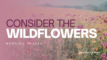 <p>Sometimes the most profound lessons about faith are found in the simplest parts of creation. Jesus pointed to wildflowers—small, fragile, and easily overlooked—to teach a powerful truth about trust and provision.</p><p>In Luke 12:27, Jesus tells us to “consider how the wildflowers grow.” They do not work endlessly to secure their future. They do not worry about appearance or provision. Yet God clothes them with beauty that surpasses even the splendor of King Solomon.</p><p>This invitation is more than poetic imagery—it is a challenge to our anxious hearts. So much of our energy is spent striving: trying to secure financial stability, maintain control over our circumstances, or ensure everything unfolds according to our plans. Worry can quietly dominate our thoughts, convincing us that everything depends on our effort.</p><p>But the wildflowers tell another story.</p><p>They grow in quiet dependence. They trust the sun to rise and the rain to fall. Without striving, they flourish exactly as God designed them. Their beauty reflects the care of the Creator who sustains them.</p><p>Jesus used this image to remind His listeners that if God cares for something as small and temporary as a flower, how much more does He care for His children?</p><p>Worry often pulls our attention toward what we lack or what might go wrong. But when we shift our focus to God’s provision—seen throughout creation—we remember that He is attentive, present, and faithful.</p><p>Considering the wildflowers is not about ignoring real concerns. It is about remembering who ultimately holds our lives in His hands. As we seek God first, He promises to provide what we truly need.</p><p>Main Takeaways</p><ul><li>Jesus used the wildflowers as a reminder of God’s faithful provision.</li><li>Worry often distracts us from trusting God’s care.</li><li>Creation reflects God’s attention to detail and beauty.</li><li>Faith involves releasing control and trusting God’s provision.</li><li>Seeking God first brings peace that replaces anxiety.</li></ul><p><strong>Today’s Bible Verse</strong></p><p>Consider how the wild flowers grow. They do not labor or spin. Yet I tell you, not even Solomon in all his splendor was dressed like one of these. —&nbsp;<a href="https://www.biblestudytools.com/luke/12-27.html" target="_blank">Luke 12:27</a>&nbsp;(NIV)</p><p><strong>Your Daily Prayer</strong></p><p><em>Prayer excerpt for listeners:</em></p><blockquote>“Help me trust Your provision and release the worries I’ve been carrying.”</blockquote><p><strong>Listen to the full prayer here. To view the prayer in written format, visit the links below.</strong></p><p>Want More? Relevant Links &amp; Resources</p><p>Continue growing in faith and encouragement:</p><ul><li><strong>LifeAudio.com</strong> – Christian podcasts and devotionals</li><li><strong>Crosswalk.com</strong> – Daily prayers, articles, and Bible study resources</li></ul><p><br></p><p><br></p>