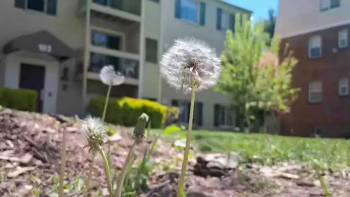 Will you pray with me for World Peace. 