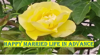 Happy Wedding Day Wishes and Messages for couples on their big day. Congratulate them and send your blessings and wishes for them as they start their brand new journey. Beautiful images are laced with lovely lines to make them feel your presence in spirit. Find more at https://thevalentineweeklist.com/wedding-day-wishes/