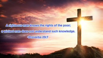 Proverbs 29:7