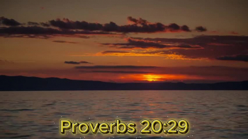 Proverbs 20:29