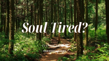 <p>Have you been running on empty?</p><p>Maybe you’ve pushed through work, family responsibilities, ministry, or simply the weight of everyday life. If your soul feels tired tonight, this prayer is for you.</p><p>Join us as we reflect on God’s invitation to true rest—not just physical sleep, but deep spiritual renewal.</p><p><strong>Tonight’s Scripture: Jeremiah 6:16</strong></p><p>Take a few quiet moments before bed to surrender your weariness to the Lord and let Him refresh your heart.</p><p>🙏 Subscribe for a new bedtime prayer every evening.</p>