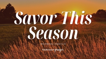 <p>This peaceful summer prayer invites you to slow down, notice God’s goodness, and receive each long summer day with gratitude, rest, and joy.</p>