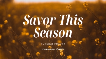 <p>This peaceful summer prayer invites you to slow down, notice God’s goodness, and receive each long summer day with gratitude, rest, and joy.</p>