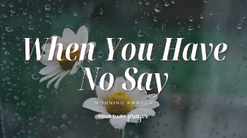 <p>This encouraging prayer is for anyone who feels overlooked, dismissed, or powerless in a decision. Ask God for humility, wisdom, and peace when the outcome is outside your control.</p><p>
</p><p><span style="background-color: rgb(255, 255, 255); color: rgb(15, 15, 15);">00:00 - 01:16 - Your Daily Prayer</span></p><p><span style="background-color: rgb(255, 255, 255); color: rgb(15, 15, 15);">01:17 - 01:36 - Bible Memory Verse</span></p><p><span style="background-color: rgb(255, 255, 255); color: rgb(15, 15, 15);">01:37 - 06:27 - Devotional</span></p>