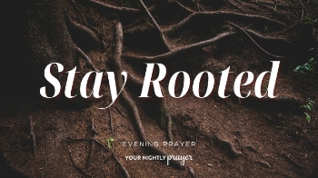 <p>New seasons can quickly make life feel scattered.</p><p>Inspired by Jeremiah 17:7–8, this <strong>Your Nightly Prayer</strong> devotional reminds us that stability does not come from controlling every detail. It comes from letting our roots go deep in God first.</p><p><br></p><p><strong>00:05 - Tonight's Scripture</strong></p><p><strong>00:34 - Devotional</strong></p><p><strong>06:22 - Your Nightly Prayer</strong></p><p><strong>06:58 - Three Things to Meditate Upon</strong></p>