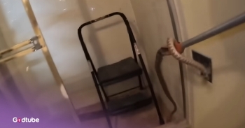 <p>Two rattlesnakes were found in a home's ceiling during a remodel project, much to the homeowner’s shock and surprise. He just wanted to update his bathroom…not rehome some dangerous Western Diamondback rattlesnakes. Watch the video to see it.&nbsp;</p><p><br></p><p>The homeowner lives in an older house in the Arizona desert. He found some snake skins but did not think much of them. As he continued renovations, he saw a snake coiled in the ceiling beams. He then called in Marissa, a professional snake remover from Rattlesnake Solutions, to help him.&nbsp;</p><p><br></p><p>Marissa got a ladder and a snake-snatching tool and got to work. She was able to grab the snake and lock it in a special bucket, and went on her way.</p><p><br></p><h2>The Story Was Not Over There</h2><p><br></p><p>But soon after, she got another call. There was another snake in the ceiling. It was a terrifying moment for the homeowner to find 2 rattlesnakes in the bathroom ceiling. So Marissa headed back, trapped that one too, and released them into the wilderness.&nbsp;</p><p><br></p><p>Rattlesnake Solutions says it’s very rare that they’re called about snakes being inside homes. They say there is a 0.4% chance of a snake being in Arizona homes, so this isn’t something most people need to worry about.&nbsp;</p><p><br></p><p>Rattlesnakes come inside homes “the same way we do – right through the front door. Most of the time, a rattlesnake inside a house, and in fact a good portion of the other types of snakes as well, come in through a door left open,” Rattlesnake Solutions <a href="https://rattlesnakesolutions.com/snakeblog/snake-removal/rattlesnake-in-a-house-how-does-this-even-happen/" rel="noopener noreferrer" target="_blank">says</a>.&nbsp;</p><p><br></p><p>Anywhere there is a rattlesnake-sized gap, they can get in. Owners have found them in attics, behind walls, and behind cabinets. But again, there’s no reason to be concerned—it's extremely rare that a snake wanders inside someone’s home. It’s a good thing this homeowner called in an expert to take care of his snake problem. Those snakes are probably happier out in the desert where they belong.</p><p><br></p><p><strong>YOU MAY ALSO LIKE: </strong><a href="https://www.godtube.com/watch/?v=1J21BMNU" rel="noopener noreferrer" target="_blank"><strong>Rescue Dog Saves 7-Year-Old From Rattlesnake</strong></a></p>