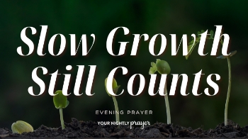 <p>Spiritual growth often happens more slowly than we would like.</p><p>Inspired by Proverbs 4:18, this <strong>Your Nightly Prayer</strong> devotional reminds us that transformation can look like a sunrise—gradual, steady, and growing brighter over time.</p><p>If you’ve been discouraged by slow progress, small victories may be evidence that God is faithfully at work in you.</p><p><br></p><p>00:00 - Bible Memory Verse</p><p>00:16 - Your Nightly Prayer</p><p>01:28 - Devotional</p>