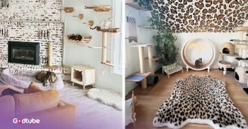<p>This couple goes above and beyond to spoil their cats. Some would call them crazy. Others would call them creative. Watch the video to see what we mean.&nbsp;</p><p><br></p><p>The Canadian couple changed their entire home to be fun for their two Bengal cats. Every room has shelves, and their whole patio is dedicated to their comfort. There is even a rope bridge and more. Her cats, Jake and Jupiter, love it. It is kitty paradise.&nbsp;</p><p><br></p><p>One of the owners, Amber, says she decided to convert her home after Jake kept going outside and trying to escape. There was one point where he was even missing for 6 whole days. She knew that if she wanted her cat to stick around, she’d have to make it more fun for him.&nbsp;</p><p><br></p><p>When Kelly Clarkson got wind of it, she interviewed Amber and awarded her $1,000 for being a caring animal lover.&nbsp;</p><p><br></p><p>It’s so cool that this couple loved their cats so much and cared that much about making their home their cat’s home, too. After all, they live there, too.&nbsp;</p><p><br></p><h2>A Creative Cat Paradise Built With Love</h2><p><br></p><p>On her “catio” (her outdoor porch), Amber decorates her cat’s climbing “tree” based on the season. There are plenty of baskets, scratch mats, and comfy things for the cats to cuddle with out there, too.&nbsp;</p><p><br></p><p>The couple has really thought of everything to keep their little pets happy and entertained. A cat surely has a lot more fun when they can perch up on high places and roam around, and it is great that their owners understand that.&nbsp;</p><p><br></p><p>They have so many sunny napping spots, too, when they need a break from all that fun. The couple shows that with a little creativity and a lot of love, homes can easily be modified with pets in mind. They are a whole lot happier when their environment is made with them in mind.&nbsp;</p><p><br></p><p><strong>YOU MAY ALSO LIKE: </strong><a href="https://www.godtube.com/watch/?v=E120B1NU" rel="noopener noreferrer" target="_blank"><strong>Cat Loves Climbing — and Apparently Also Enjoys Stealing</strong></a></p>