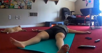 <p>This cat's hilarious yoga mimicry captures hearts. He copies his owner’s yoga positions as best as he can.&nbsp;</p><p><br></p><p>As the owner sprawls out on her yoga mat, her cat, Chuckie, lies down and rolls over on his back and splays out, too. It is so cute and hilarious.&nbsp;</p><p><br></p><p>The cat’s owner <a href="https://www.youtube.com/watch?v=vc5MF4Y07nI" rel="noopener noreferrer" target="_blank">said</a>, "Chuckie always does yoga with me. On this occasion, he copied my pose."</p><p><br></p><p>There are several other videos on the internet of cats copying their owners’ yoga poses. When <a href="https://www.newsflare.com/video/648780/pet-cat-copies-owners-yoga-pose" rel="noopener noreferrer" target="_blank">another cat</a> owner went into the downward dog position, her cat hilariously did the same. It also got in the way of her workout and crawled between her arms when she went into the bridge position.&nbsp;</p><p><br></p><p>Yet <a href="https://www.youtube.com/shorts/aApEx3-B_IE?time_continue=36&amp;source_ve_path=MjM4NTE&amp;embeds_referring_euri=https%3A%2F%2Fwww.google.com%2Fsearch%3Fq%3Dcat%2Bcopies%2Bowners%2Byoga%2Bposition%26rlz%3D1C1VDKB_enUS1159US1159%26oq%3Dcat%2Bcopies%2Bowners%2Byoga%2Bposition%26gs" rel="noopener noreferrer" target="_blank">another cat</a>, named Graveskull, climbs on top of his owner as she moves from pose to pose. He doesn’t copy her but wants to be a part of everything she does.&nbsp;</p><p><br></p><h2>Playful Cats Turn Ordinary Yoga Sessions Into Adorable Entertainment</h2><p><br></p><p>Pets copying their owners or trying to involve themselves in everything is a way that they show their curiosity. It also helps establish bonds. It is really cute to see.</p><p><br></p><p>And of course, cats always have a way of making themselves the center of attention, and Chuckie and these other felines are no exception. They don’t want their owners to have all the fun on their yoga mats. They must recognize that they can move flexibly in the same way, and want to show off their skills, too.&nbsp;</p><p><br></p><p>It is cute to see them show off their own impressive moves. Of course, the cats may not understand what yoga is, but that doesn't stop them from participating in their own adorable furry way.</p><p><br></p><p>It’s hard to figure out how these owners can get through a yoga session without laughing at their pets’ antics. They must be used to their pets trying to join in!</p><p><br></p><p><strong>YOU MAY ALSO LIKE: </strong><a href="https://www.godtube.com/watch/?v=GWDYGGNX" rel="noopener noreferrer" target="_blank"><strong>Curious Cat Gives Treadmill A Try After Watching Little Girl</strong></a></p>