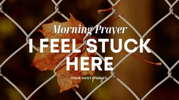 <p>What if you're not where you thought you'd be by now?</p><p><br></p><p>What if you're not where you thought you'd be by now?</p><p>Maybe you're facing a health setback, a disappointing change of plans, or a season of life that looks nothing like you imagined.</p><p>In today's <strong>Your Daily Prayer</strong>, Keri Eichberger shares how recovering from scoliosis surgery changed her expectations for her son's wedding—and how Joseph's story in Genesis helped her remember that God can work through circumstances we never would have chosen.</p><p>In Genesis 50:19–20, Joseph responds to the brothers who harmed him with an extraordinary recognition of God's providence: what they intended for evil, God used to preserve many lives.</p><p>Joseph's story doesn't mean every hardship will make sense to us or end the way we hope. But it does remind us that suffering doesn't place us beyond God's care.</p><p>If you're feeling stuck, discouraged, or disappointed with where life has taken you, join us in praying for the strength to trust God's faithfulness in the season you're facing.</p><p><strong>Today's Scripture:</strong></p><p>“But Joseph said to them, ‘Don't be afraid. Am I in the place of God? You intended to harm me, but God intended it for good to accomplish what is now being done, the saving of many lives.’” — Genesis 50:19–20 (NIV)</p><p><strong>In today's devotional:</strong></p><ul><li>Trusting God when life doesn't go as planned</li><li>Finding purpose in difficult seasons</li><li>What Joseph's story teaches about God's providence</li><li>Dealing with disappointment and unexpected setbacks</li><li>Remembering God's care when you feel stuck</li><li>A prayer for trust, patience, and renewed hope</li></ul><p><br></p>
