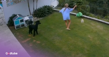 <p>A 12-year-old girl's heroic effort saves a guinea pig from a snake attack, and it was so brave of her. She didn’t hesitate to save her little pet guinea pig, Maxibon. Watch the video to see the incredible encounter.</p><p><br></p><p>The 12-year-old, Rosie, was outside with Maxibon when the snake latched onto him. Rosie immediately picked up the snake and spun it around by its tail, trying to make it let go of her pet. Once her dad heard their dog barking, along with Rosie’s screams, he came running to their aid and was able to get the snake to let go of the pet.</p><p><br></p><p>“When I try to like grab him… I see this thick python around his neck. So I get this instinct to just grab the snake to loosen it off his neck, and it really worked really well,” Rosie <a href="https://www.youtube.com/watch?v=Ki01vzSRSTk" rel="noopener noreferrer" target="_blank">said</a>.&nbsp;</p><p><br></p><p>Her dad <a href="https://www.youtube.com/watch?v=Ki01vzSRSTk" rel="noopener noreferrer" target="_blank">said</a>, “I was a little bit scared because the screams were so loud from inside, so I kind of had to pick my moment because the snake was getting swung around. So I grabbed the snake. I gave it a bit of a shake and threw it away.”</p><p><br></p><h2>Brave Girl and Her Dad Work Together to Save Beloved Pet</h2><p><br></p><p>But then, their dogs ran toward the snake, so the dad then picked it up again and threw it into his neighbor’s yard. He went to his neighbor, and then they found the snake and released it in the wild.&nbsp;</p><p><br></p><p>Rosie and her dad put aside their safety for their loved ones, and that is so sweet. And it’s so cool that this was caught on video.&nbsp;</p><p><br></p><p>Young Rosie and her dad should be very proud of themselves for protecting their animals. That could have ended in a tragedy for that poor guinea pig, but thankfully, no one was hurt at the end of that encounter!&nbsp;</p><p><br></p><p><strong>YOU MAY ALSO LIKE: </strong><a href="https://www.godtube.com/watch/?v=GK7YGPNX" rel="noopener noreferrer" target="_blank"><strong>Doorbell Camera Captures Postal Worker’s Efforts To Save Dog From Snake Bite</strong></a></p>