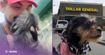 <p>Prepare to be inspired and have all of the feels! This dog video is completely precious. Watch this heartwarming tale of a man who adopts a dog found in a Dollar General.</p><p><br></p><p>At the start of this video, we see an adorable small dog running through the aisle of a Dollar General. The man narrating the story shares about his experience seeing this tiny pooch appear out of nowhere. He is petting her and telling her that she is a good girl. We learn that the man’s name is Ray. He talks about how gentle and kind the pup was and how he got her to a secure place while they waited for animal control.&nbsp;</p><p><br></p><p>The man has placed the sweet dog in his shopping cart and is asking the cashier about the entrance of the dog into the store. She explains how the pup just ran into the store out of nowhere. As Ray waits for animal control, he begins to become more attached to this precious furry friend. Animal control is unable to come out, and so Ray is asked to care for the dog until the next day. He responds positively to take the dog home.&nbsp;</p><p><br></p><h2>An Unexpected Encounter Turns Into a Forever Friendship</h2><p><br></p><p>Next, you see the adorable dog cuddling the man in the front seat of his car, headed home. The puppy is giving him lots of kisses at home. He documents caring for the animal by feeding her hamburger and watching a dog show together. The dog laid down on his chest and let out a sigh of relief. The man shares how, in that moment, he realized that this pup was his now.&nbsp;</p><p><br></p><p>Ray finds out that the dog has to remain at the dog shelter until she is processed. It is an emotional departure. Suddenly, he has to wait for weeks to obtain her as his own. He visits her, but it is clearly a hard time of separation. Finally, you see adoption day, and he learns that the dog is his. He brings the little dog home and names her Dolly. He brings the dog everywhere, and you see a clip of him bringing her back to Dollar General.&nbsp;</p><p><br></p><p>This is an inspiring story about having an open heart to care for God’s creatures. It is motivating to watch this man, Ray, in his journey of an unexpected dog adoption. May this man’s love remind us of God’s love for us.</p><p><br></p><p><em>“Look at the birds of the air: they neither sow nor reap nor gather into barns, and yet your heavenly Father feeds them. Are you not of more value than they?” </em><a href="https://www.godtube.com/bible/Matthew/6-26" rel="noopener noreferrer" target="_blank"><strong><em>Matthew 6:26</em></strong></a></p><p><br></p><p><strong>YOU MAY ALSO LIKE: </strong><a href="https://www.godtube.com/watch/?v=YKPG6GNX" rel="noopener noreferrer" target="_blank"><strong>Dog Shot With A BB Gun Gets Wheelchair And Forever Home</strong></a></p>