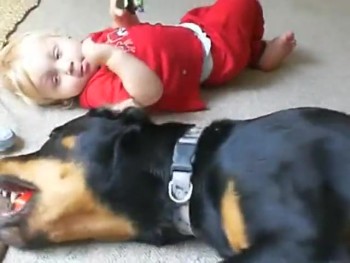 An Adorable Baby and His Best Friend, a Rottweiler 