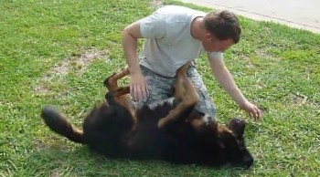 Huge Dog Cries With Happiness When Reunited With Owner 