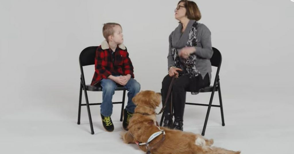 Godupdates kids meet guide dog