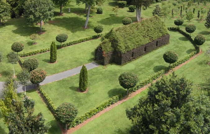 jm-allcreated-built-church-from-trees-6