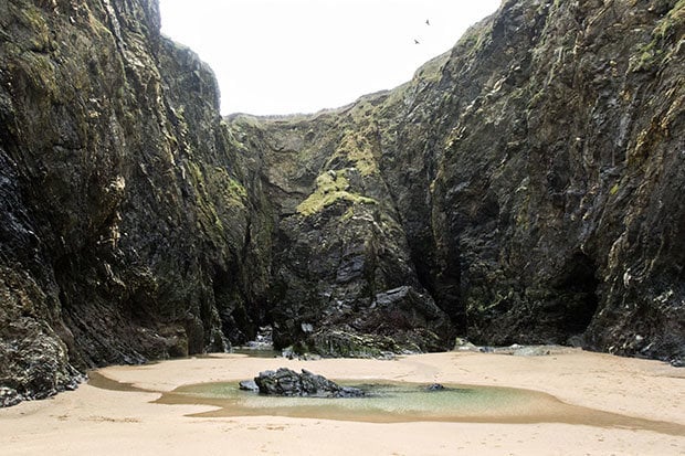 Crantock Beach - Low Tides 