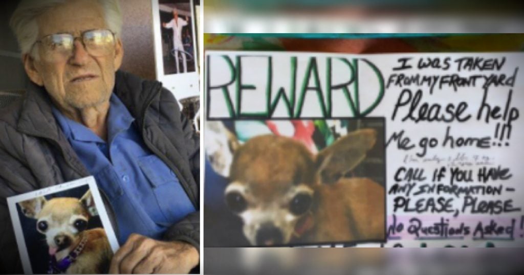 godupdates 93-year-old veterans beloved dog was stolen fb