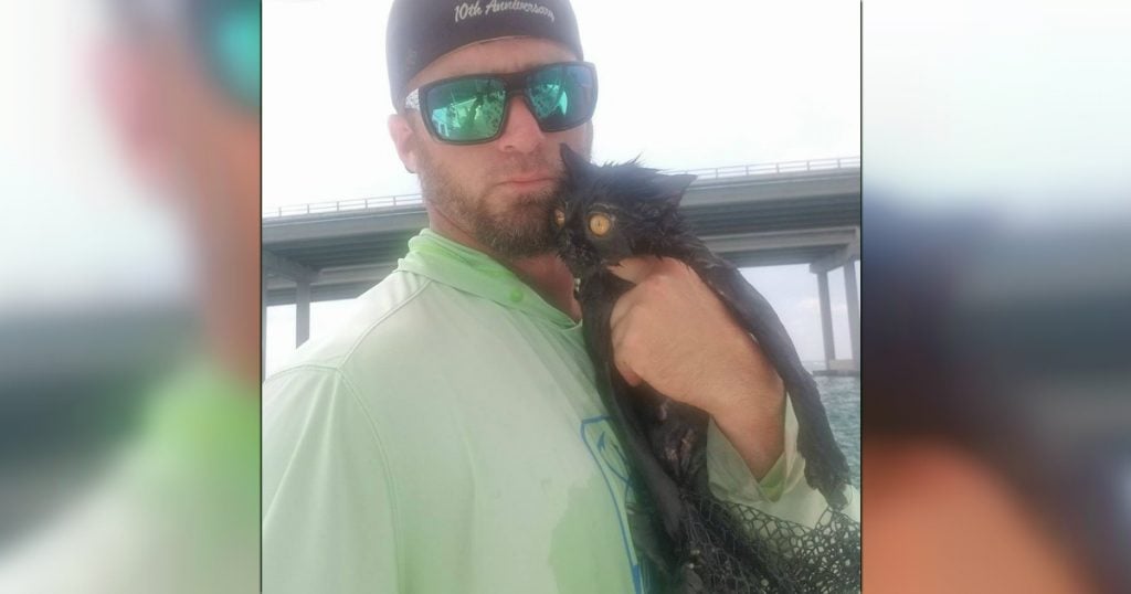 godupdates boat captain rescued the black cat thrown from bridge fb