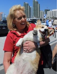 godupdates corgi cruise memorial day 1