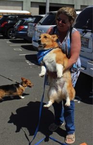 godupdates corgi cruise memorial day 4