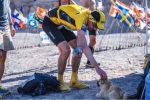 godupdates desert stray dog picks extreme marathon runner as her human 1