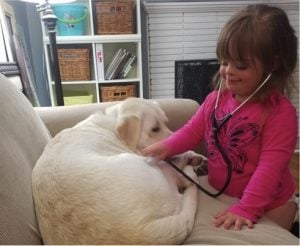 godupdates diabetic alert dog hero saves little girl sadie 1