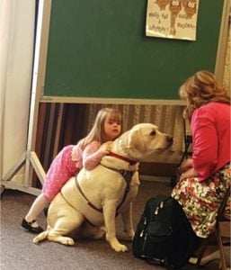 godupdates diabetic alert dog hero saves little girl sadie 3