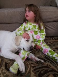 godupdates diabetic alert dog hero saves little girl sadie 6