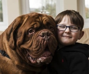 godupdates dog saves 5-year-old boy from blindness 1