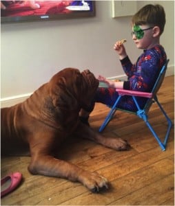 godupdates dog saves 5-year-old boy from blindness 3