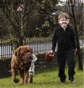 godupdates dog saves 5-year-old boy from blindness 5