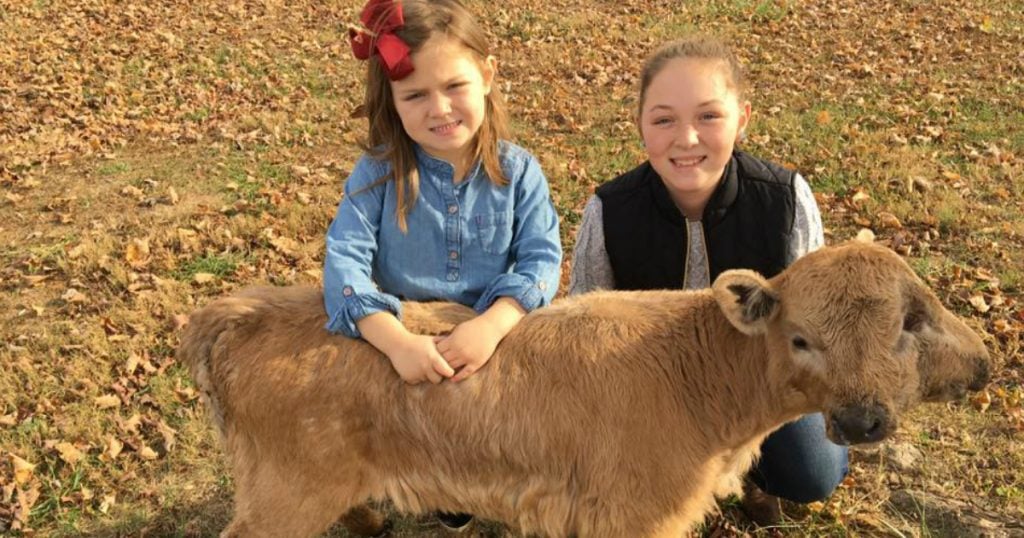 godupdates family calls lucky the two-headed calf a miracle fb no circ